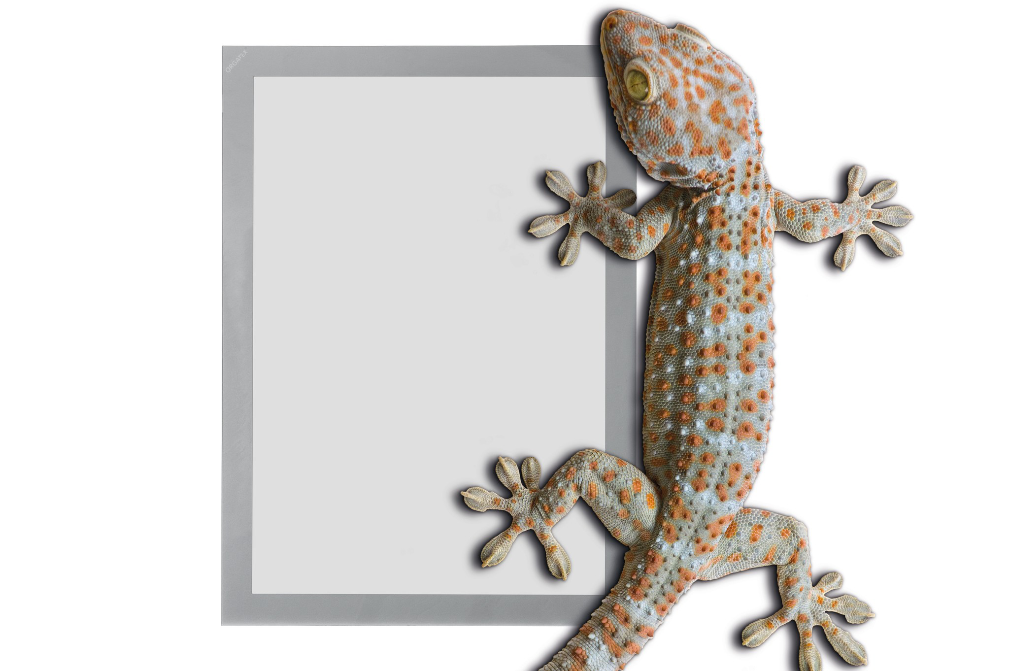 Anwendungs_Abbildung